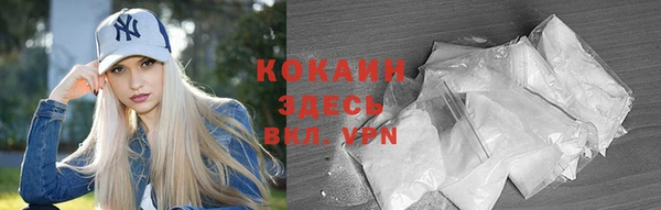 гашик Сясьстрой