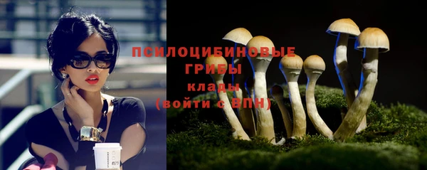 соль курить ск Верея