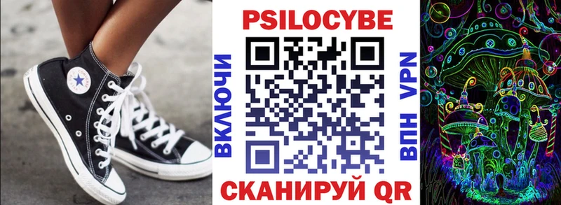наркота  Дорогобуж  Псилоцибиновые грибы MAGIC MUSHROOMS 