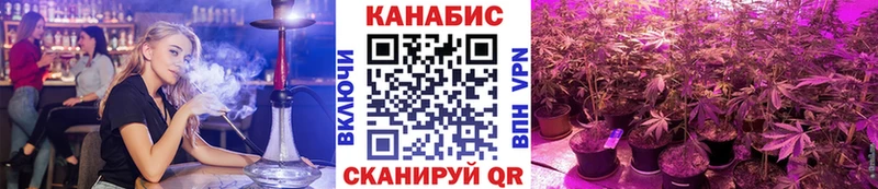OMG tor  Дорогобуж  Канабис THC 21% 